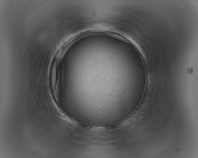 X0000088871477200706291529