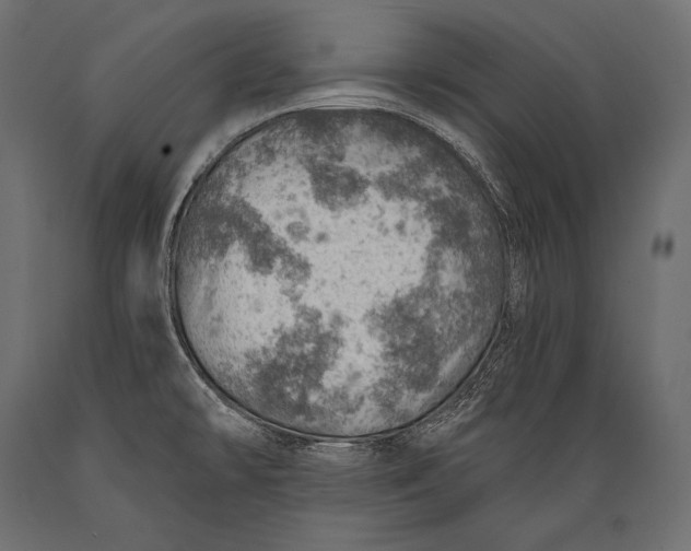 X0000088871478200706291529