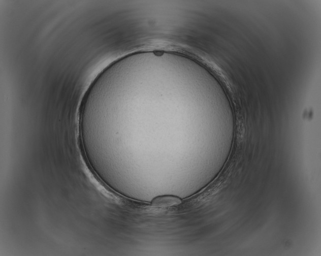 X0000088871479200706291529