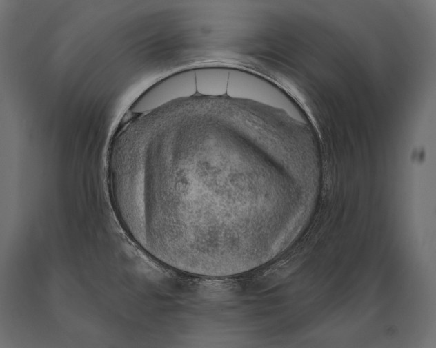 X0000088871480200706291529