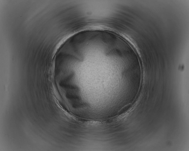 X0000088871481200706291529