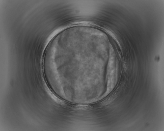 X0000088871482200706291529