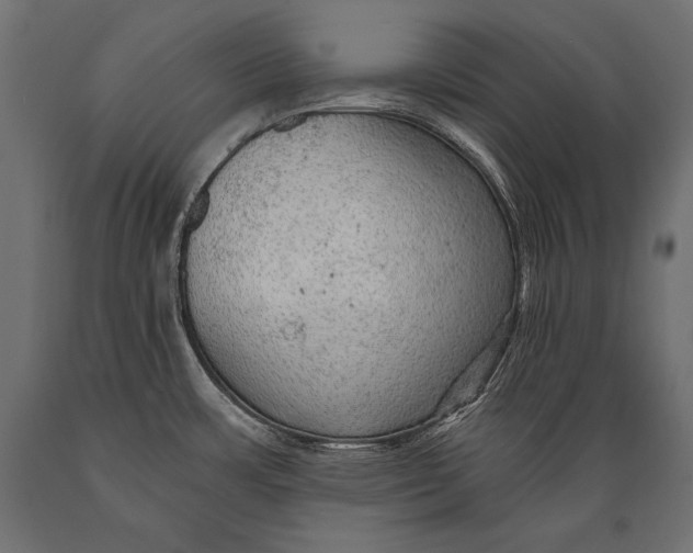 X0000088871483200706291529