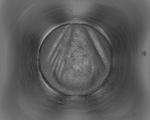 X0000088871484200706291529