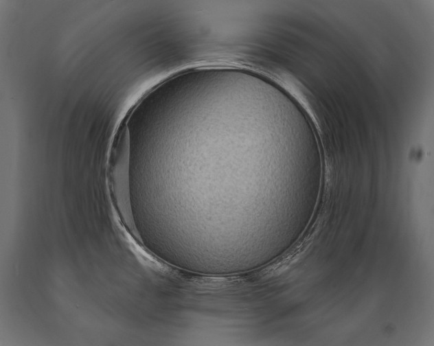 X0000088871485200706291529
