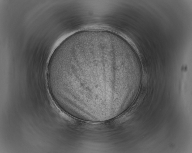 X0000088871486200706291529