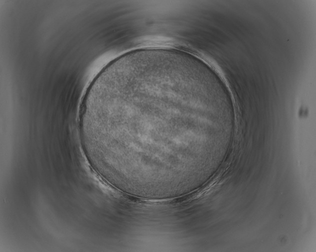 X0000088871488200706291529