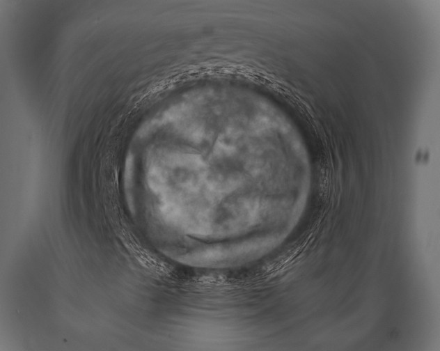 X0000088871489200706291528