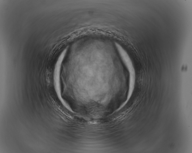 X0000088871490200706291528