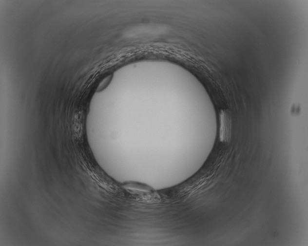 X0000088871491200706291528