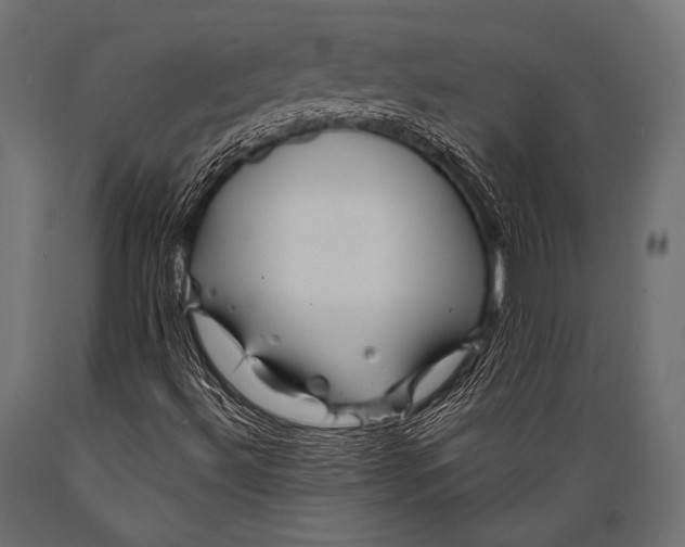 X0000088871492200706291528