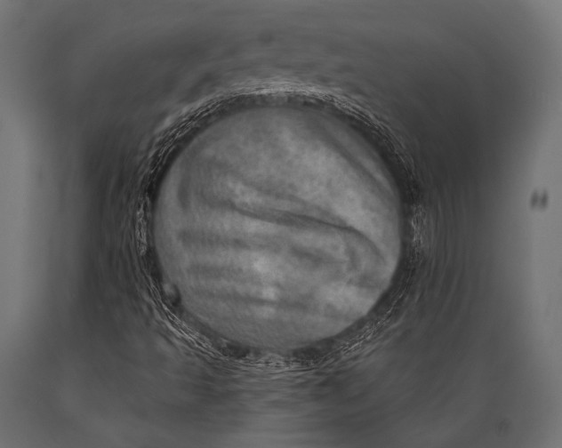 X0000088871493200706291528