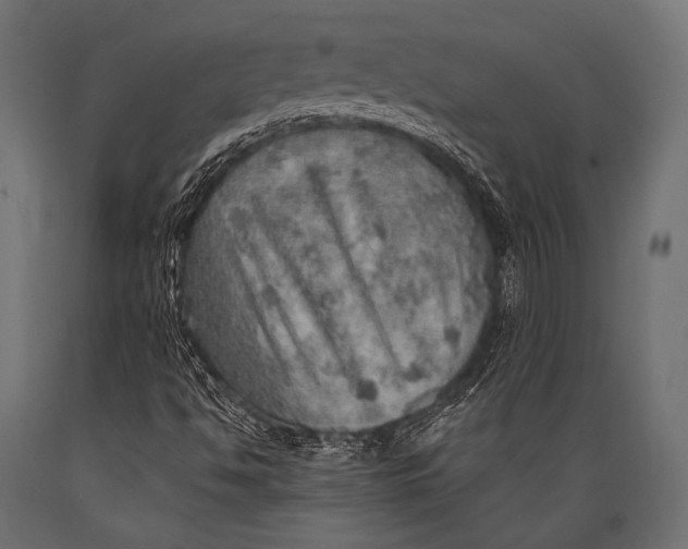 X0000088871494200706291528