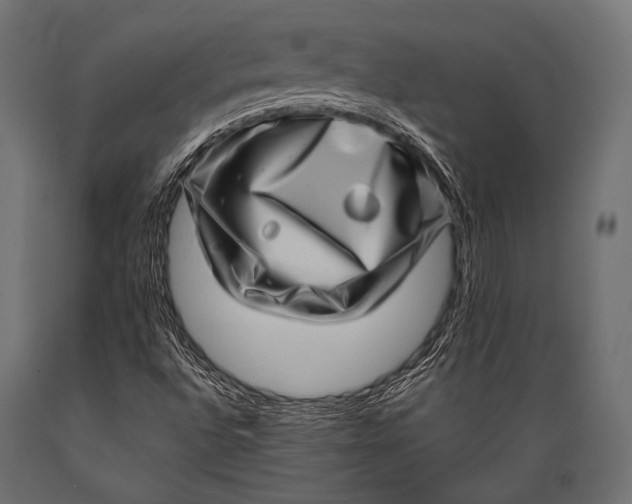 X0000088871496200706291528