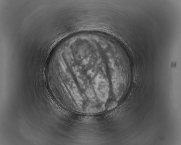 X0000088871497200706291528