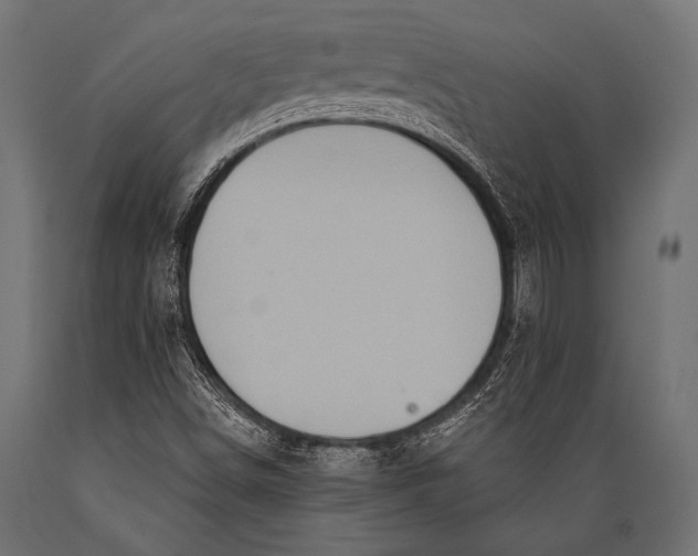 X0000088871498200706291528
