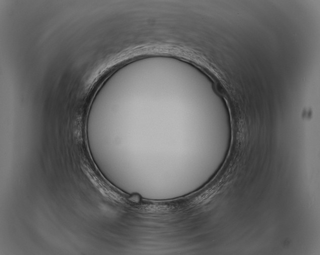 X0000088871499200706291528