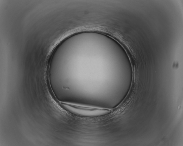 X0000088871500200706291528