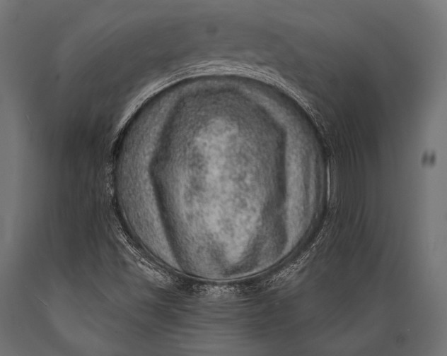 X0000088871501200706291528