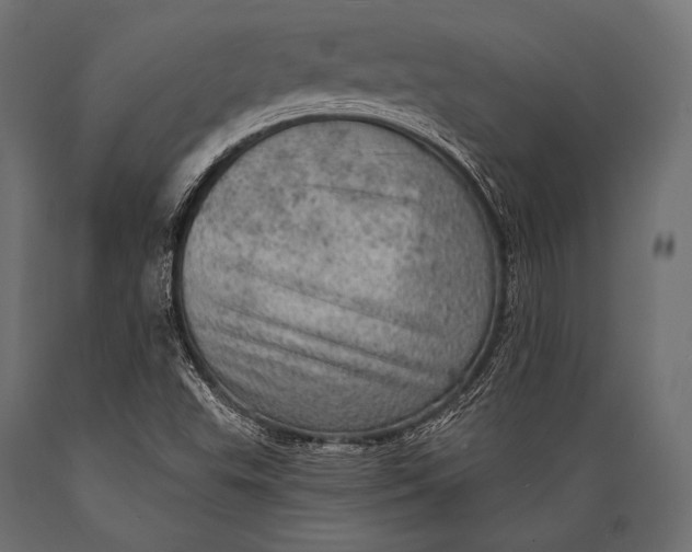 X0000088871503200706291528