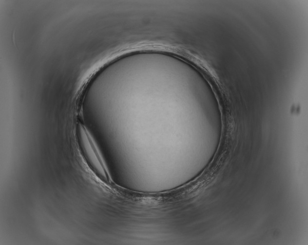 X0000088871504200706291528