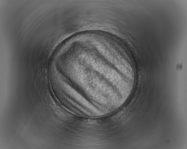 X0000088871505200706291528