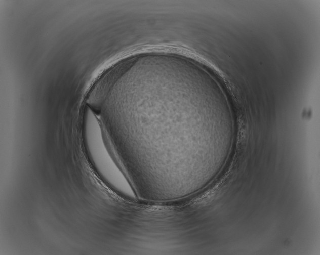 X0000088871506200706291528