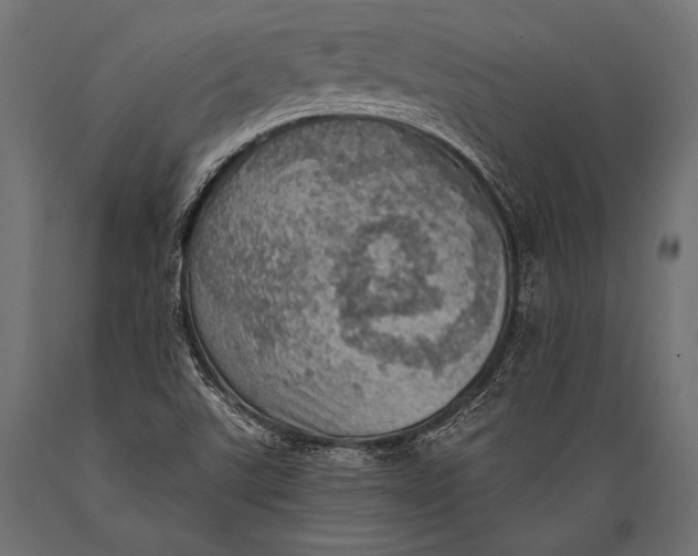 X0000088871507200706291528