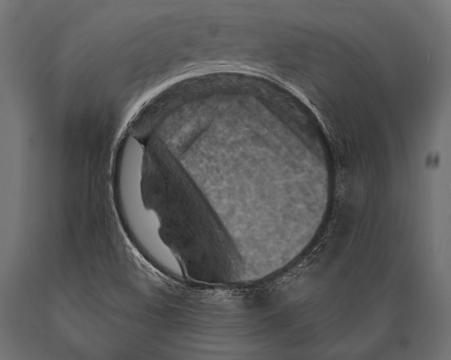 X0000088871508200706291528