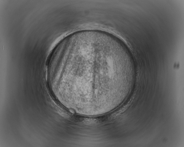 X0000088871509200706291528