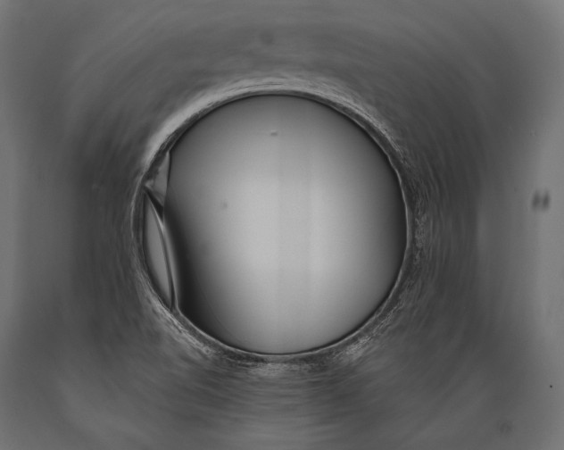 X0000088871510200706291528