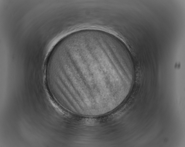 X0000088871511200706291528