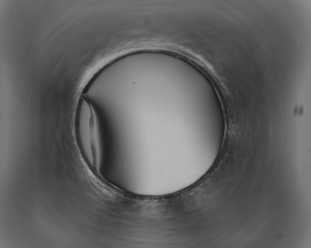 X0000088871512200706291528