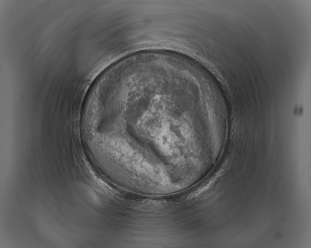 X0000088871513200706291528