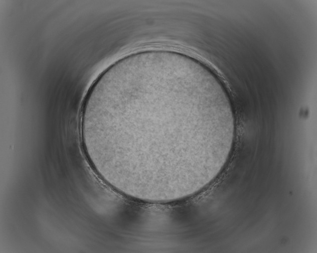 X0000088871514200706291528
