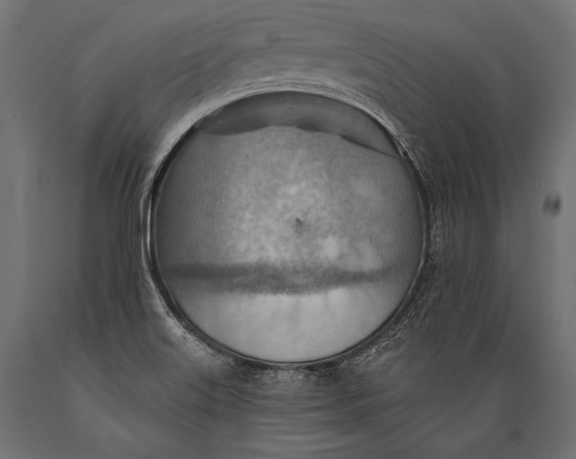 X0000088871515200706291528