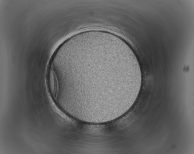 X0000088871518200706291528
