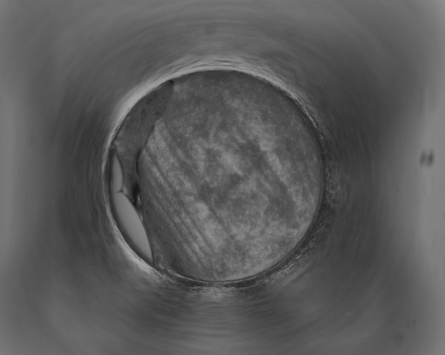 X0000088871519200706291528