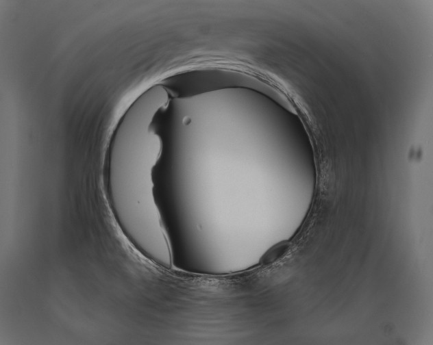 X0000088871520200706291528