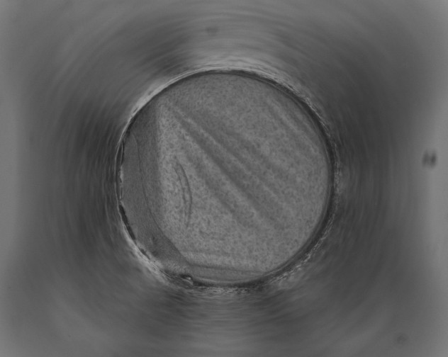 X0000088871521200706291528
