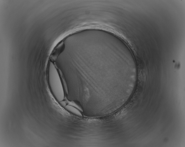 X0000088871522200706291528
