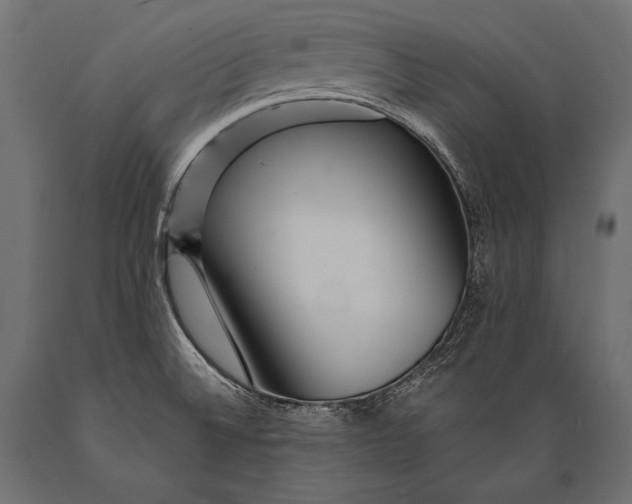 X0000088871524200706291529