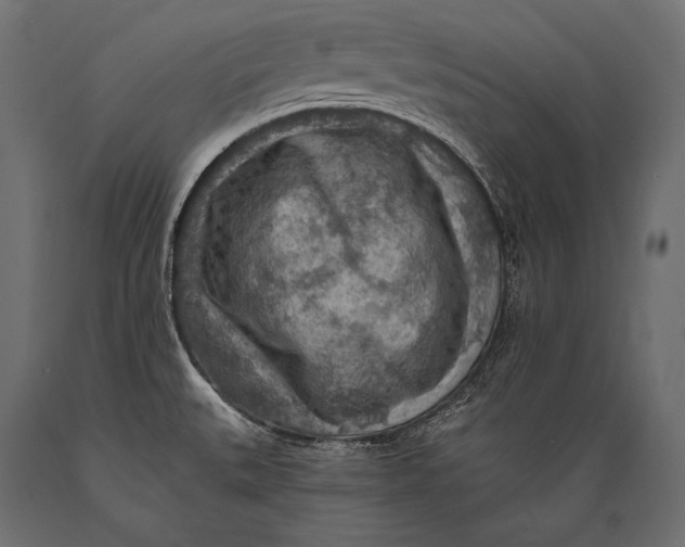 X0000088871527200706291529