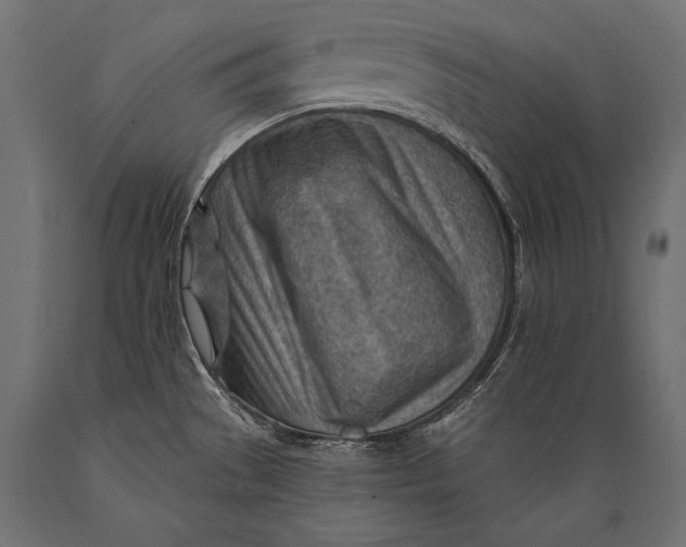 X0000088871529200706291529