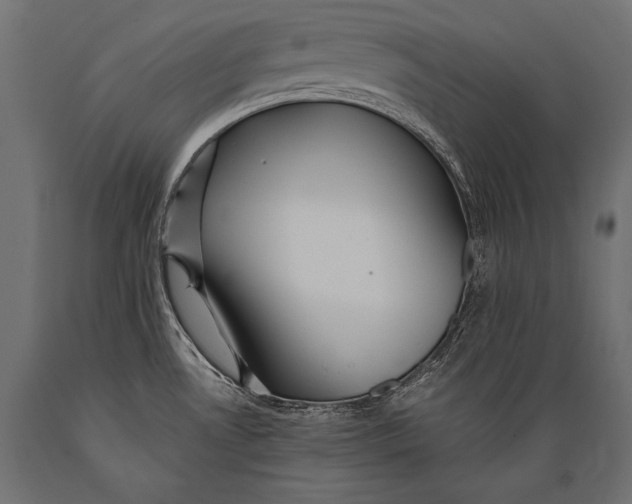 X0000088871530200706291529