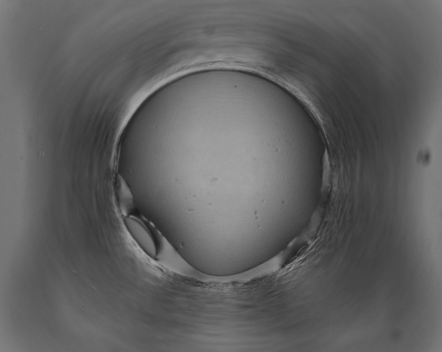 X0000088871532200706291529