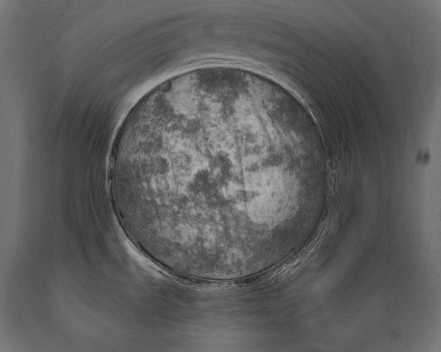X0000088871535200706291529