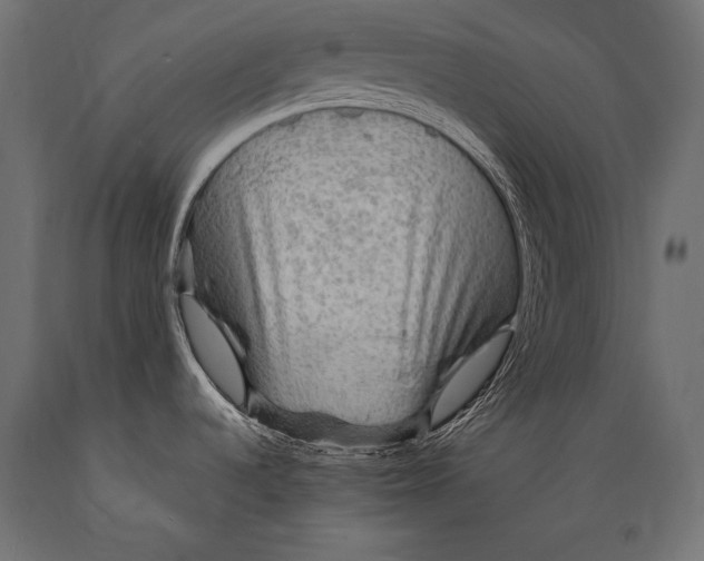 X0000088871536200706291529