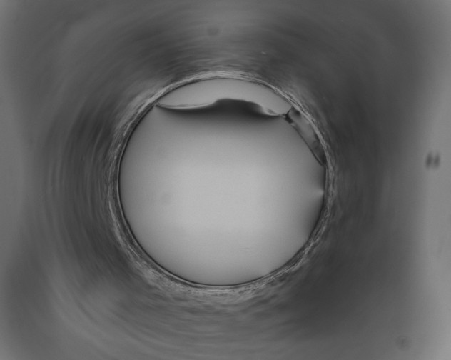 X0000088870001200707061358