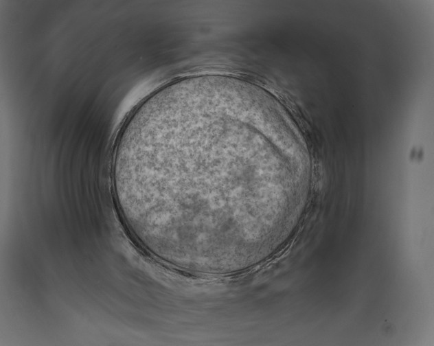 X0000088870004200707061357